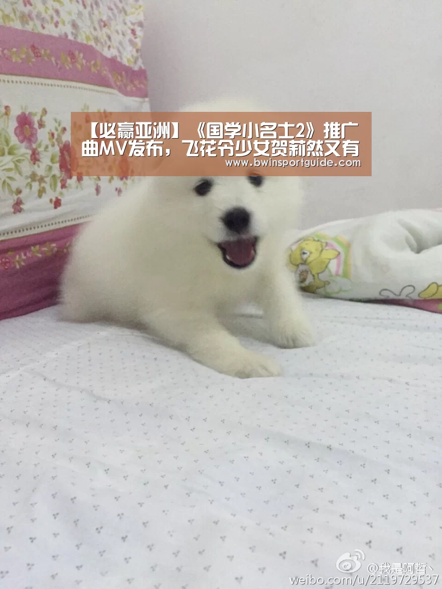 必赢体育官网